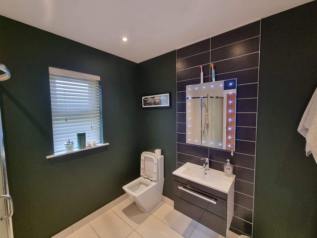 Vivid green bathroom wall with modern sink, illuminated mirror, and decorative items, showcasing expert interior painting services in Portstewart for stylish and professional home interiors.